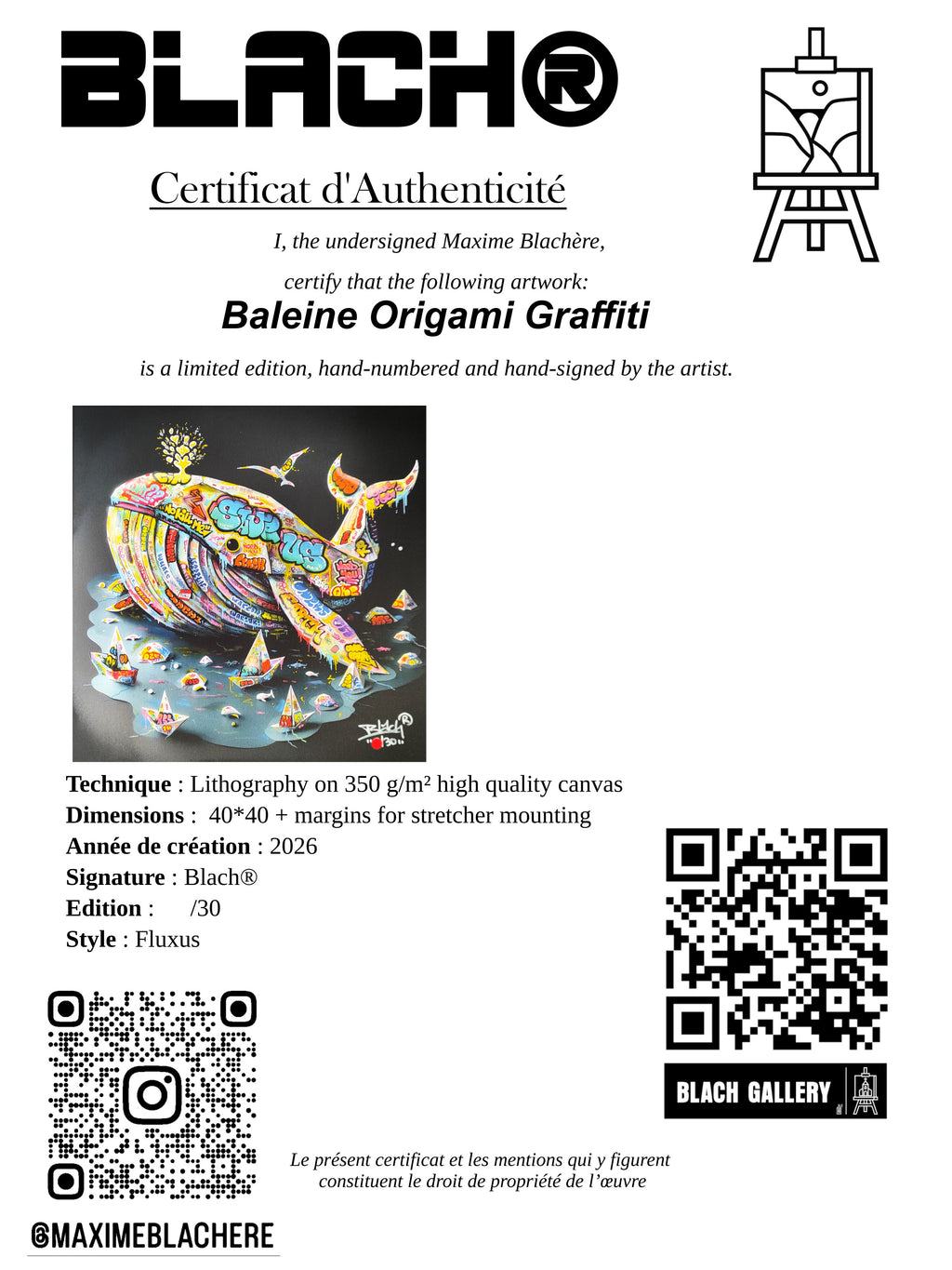 BALEINE Origami Graffiti