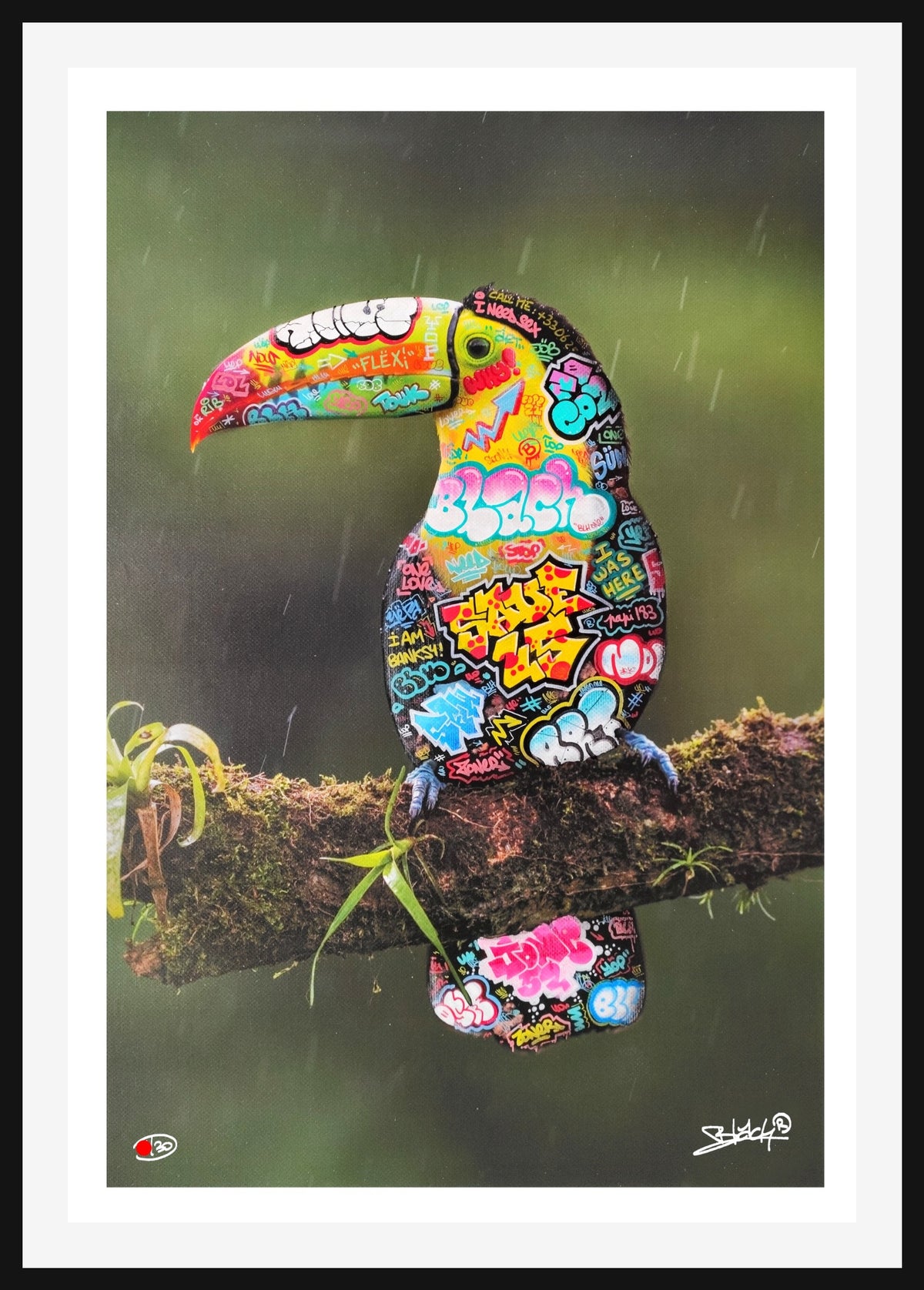 Toucan