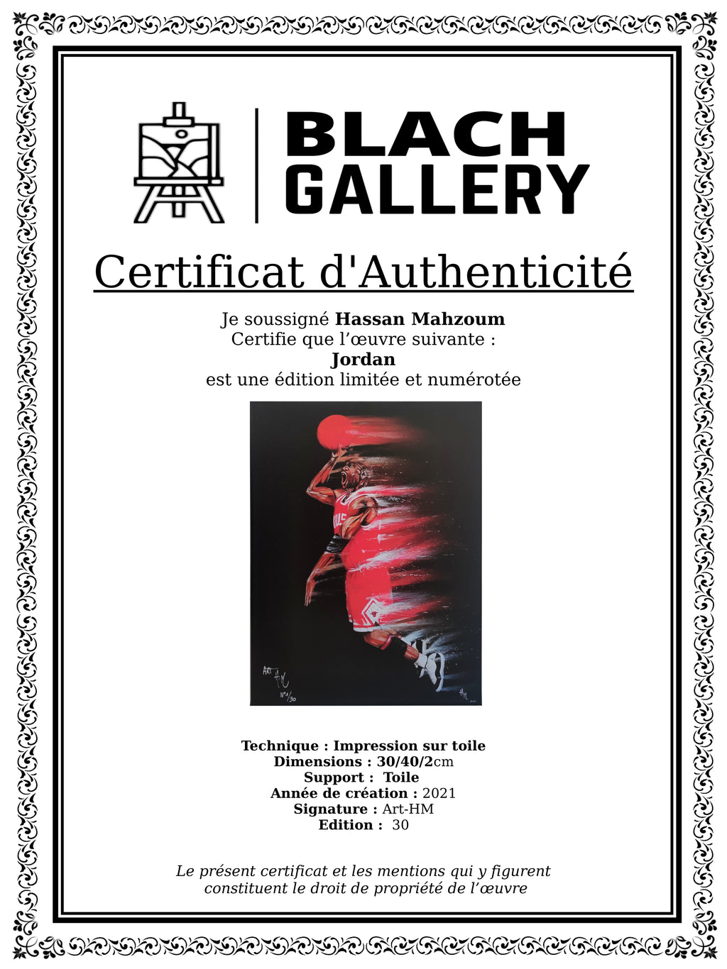 Jordan limited edition By Art HM