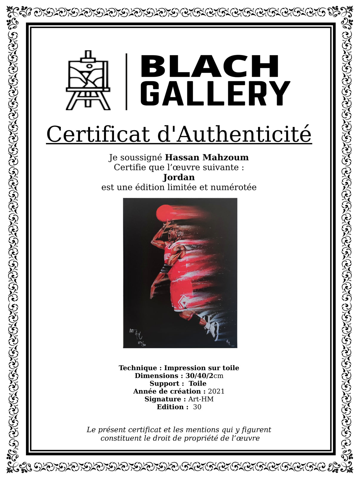 Jordan limited edition By Art HM