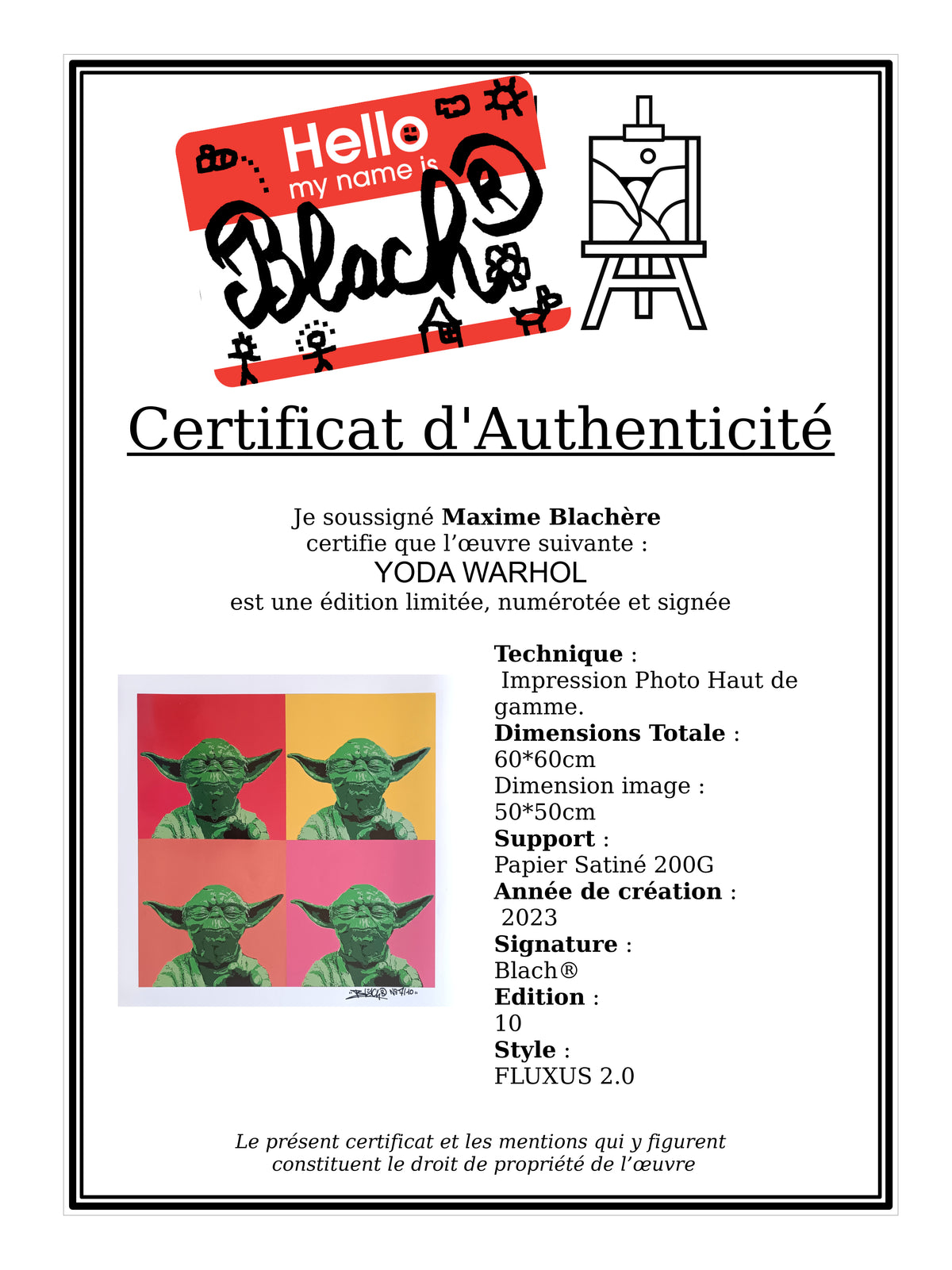 Yoda Wharol / edition Limited and signed By Blach®