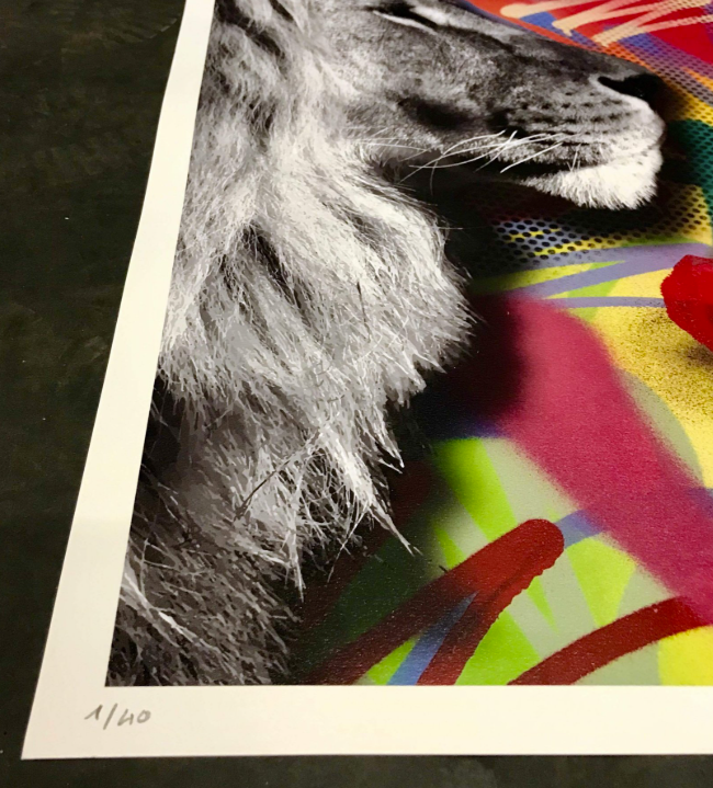 Wild Style — Socrate, Street Art — Sérigraphie, édition limitée /40