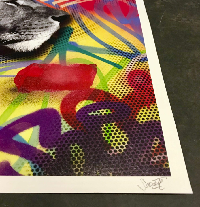 Wild Style — Socrate, Street Art — Sérigraphie, édition limitée /40