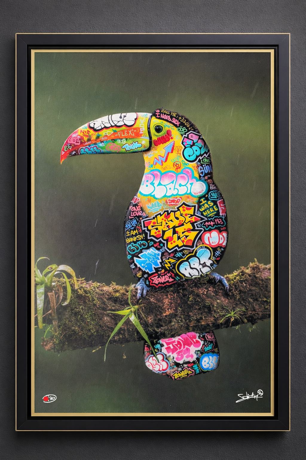 Toucan