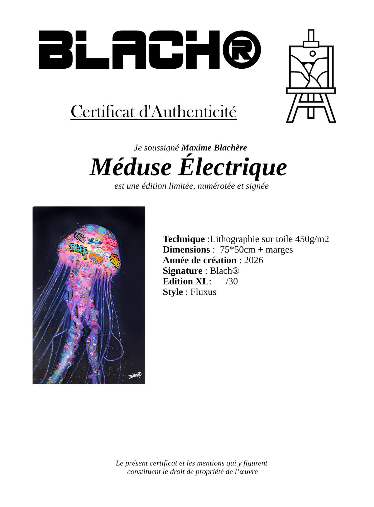 Meduse Electrique L