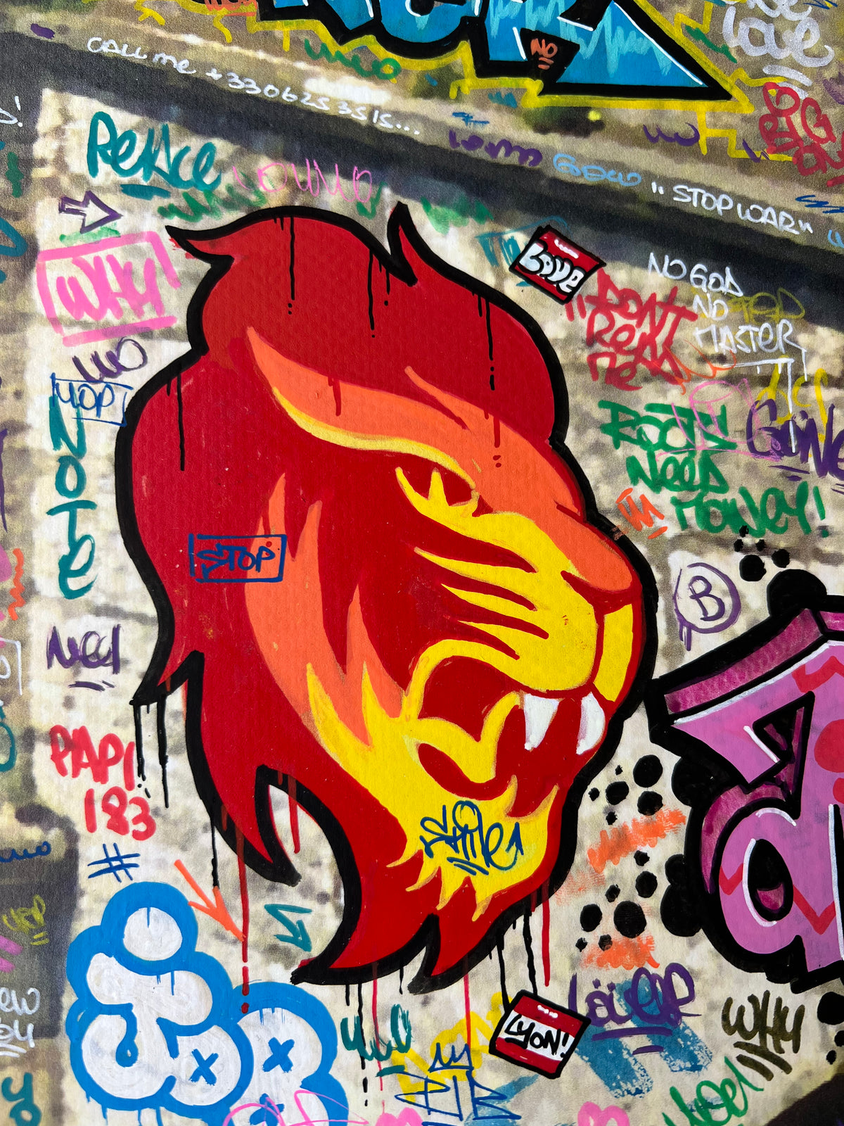 Lyon Passerelle rouge (Saint Georges)