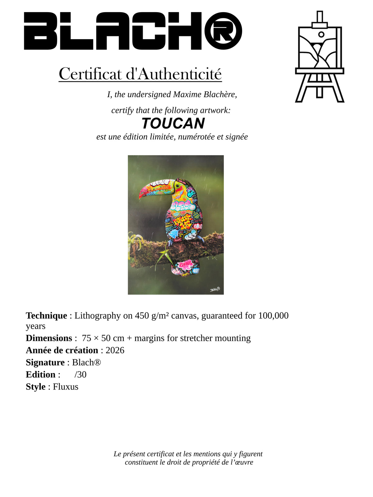 Toucan