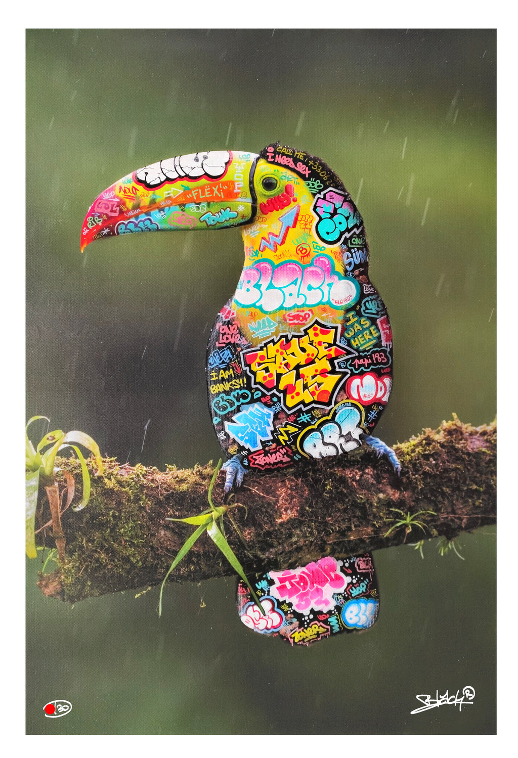 Toucan