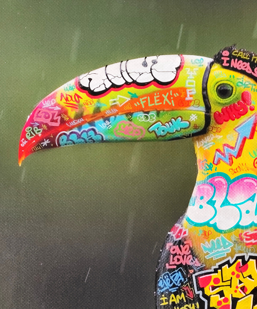 Toucan