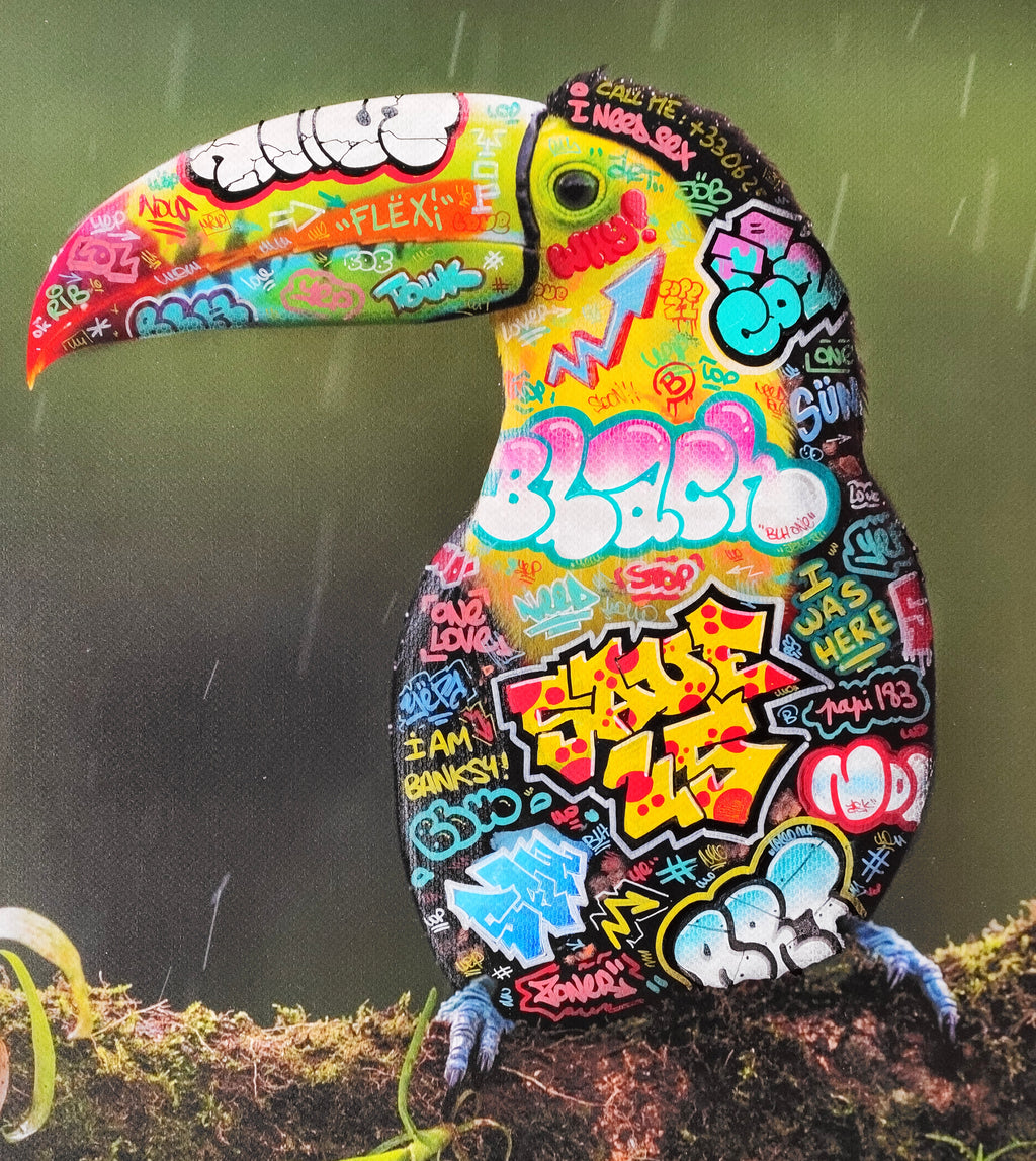 Toucan