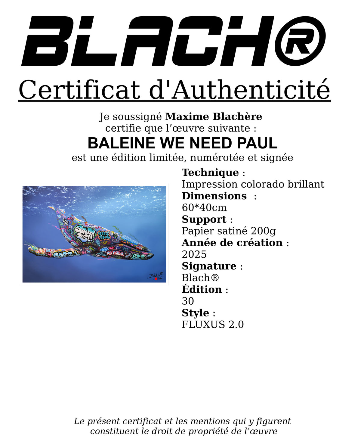 BALEINE WE NEED PAUL / Édition limitée BLACH®