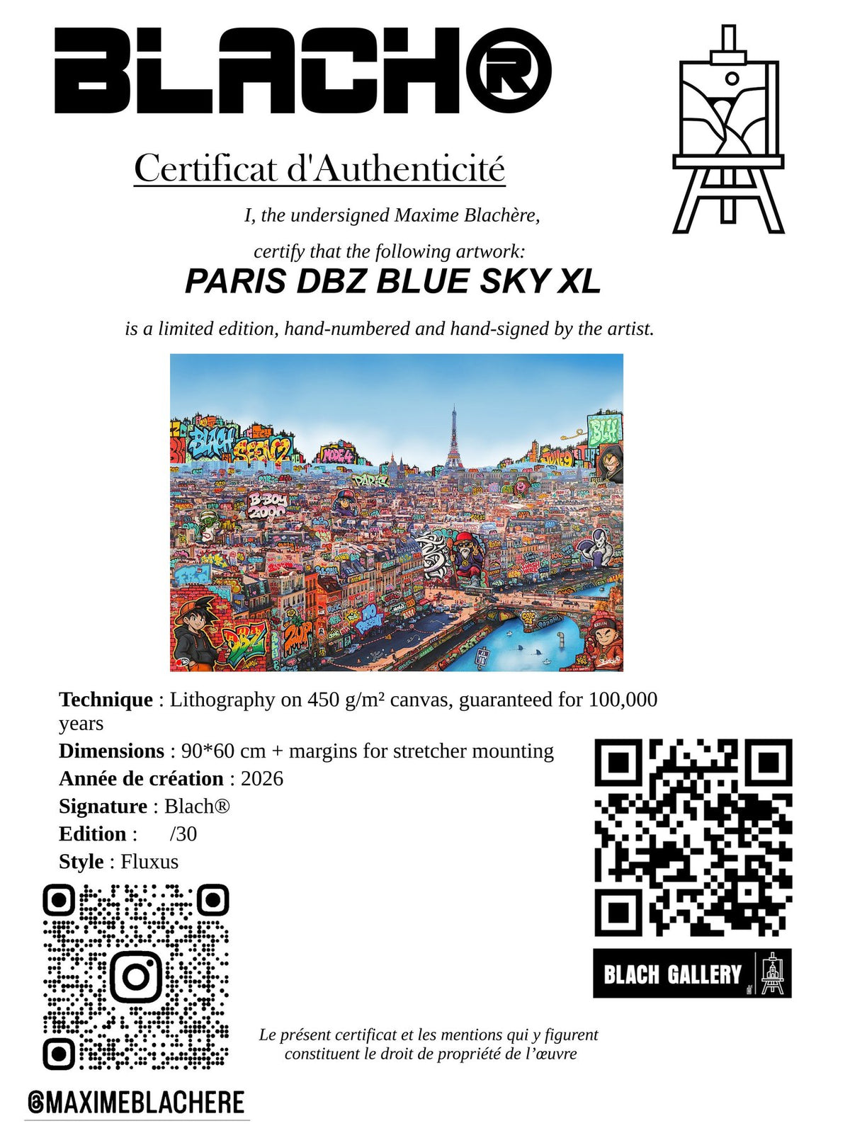 Paris Dbz Blue Sky XL