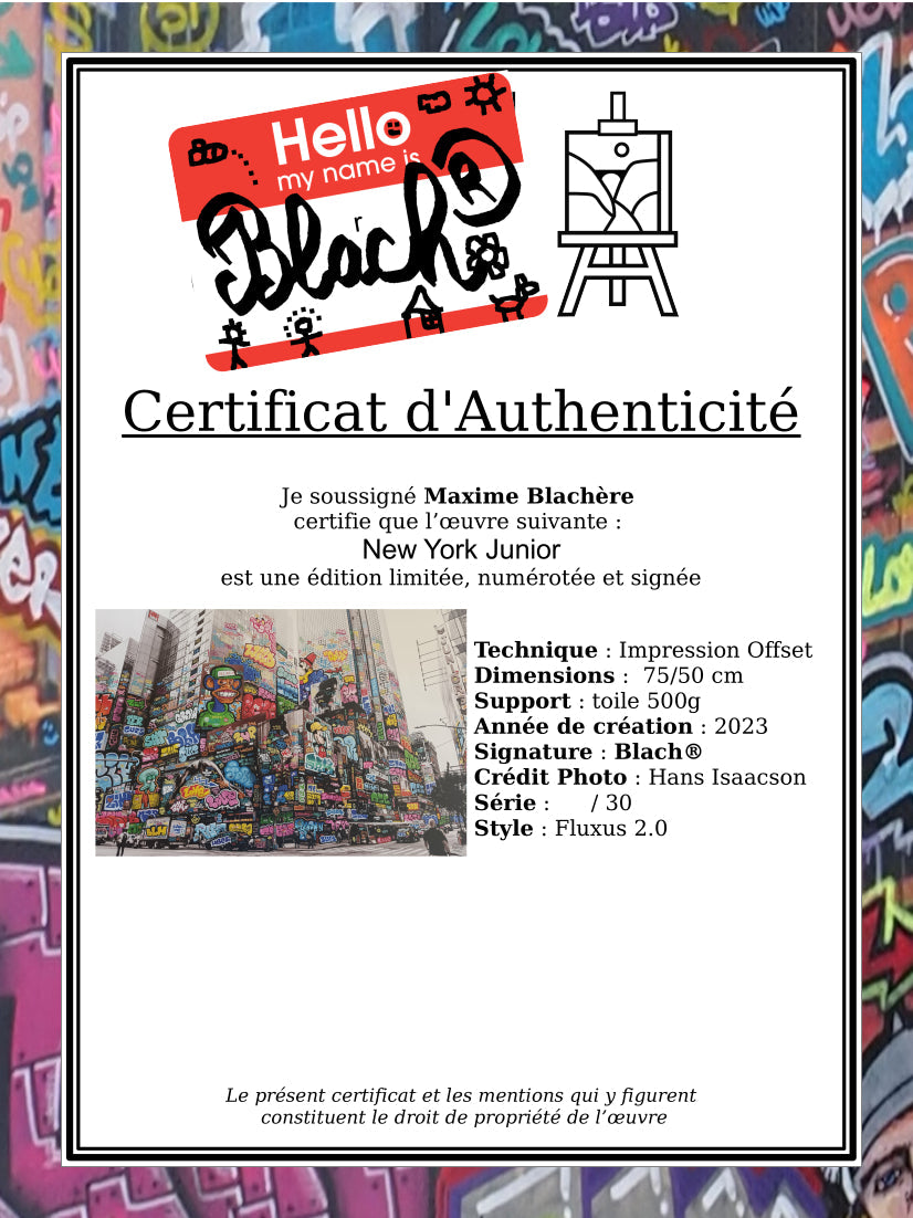 Certificat d'authenticité New York Junior