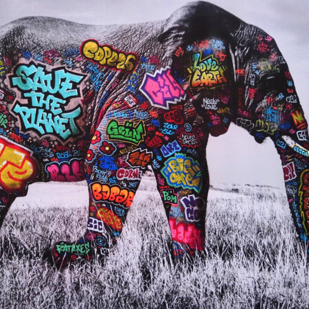 Eléphant / Limited edition signed and numbered by Blach®