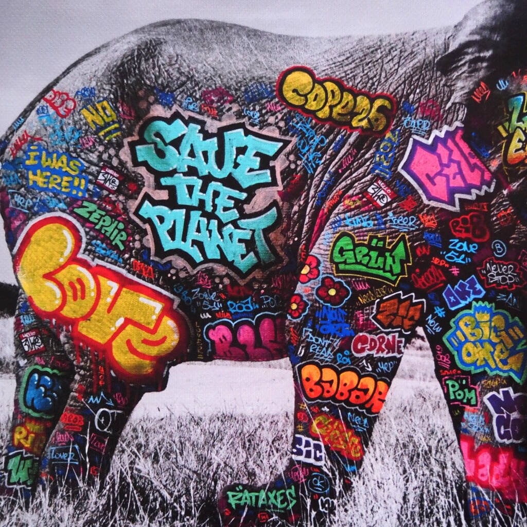 Eléphant / Limited edition signed and numbered by Blach®
