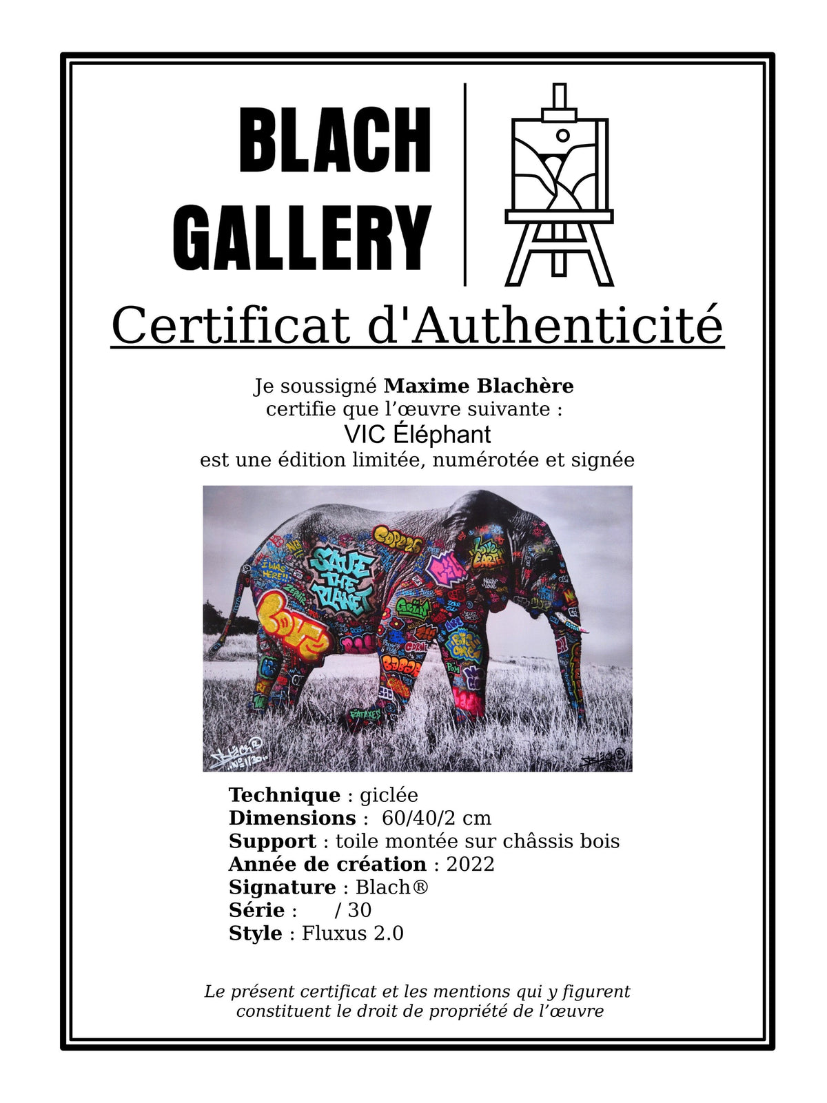 Eléphant / Limited edition signed and numbered by Blach®