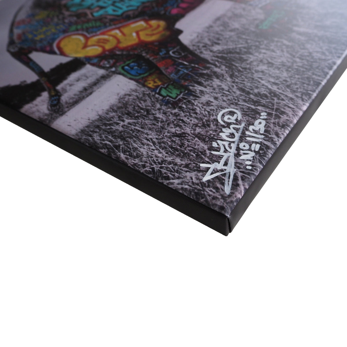 Eléphant / Limited edition signed and numbered by Blach®