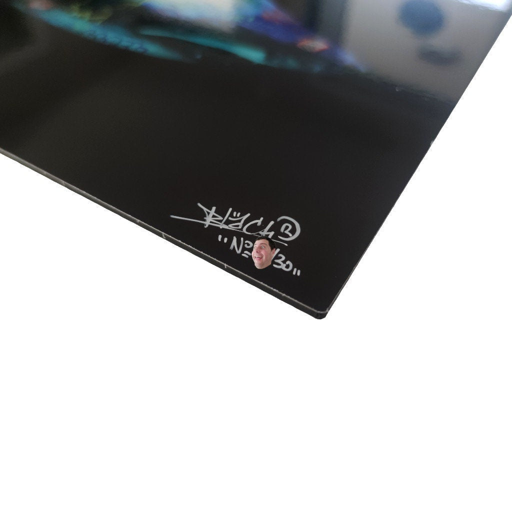 Requin / Limited edition signed and numbered by Blach®