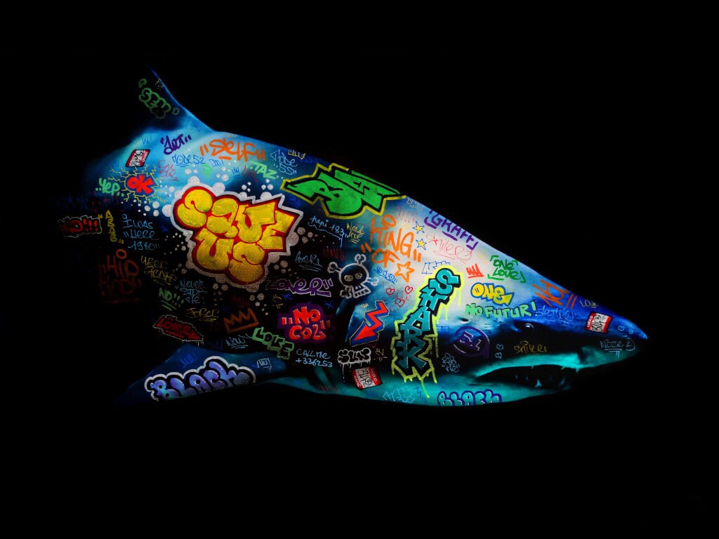 Requin / Limited edition signed and numbered by Blach®