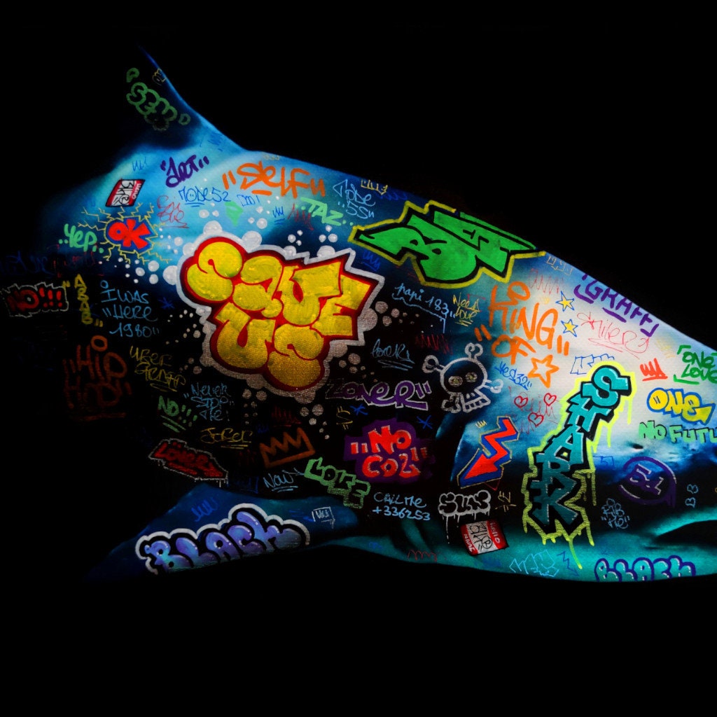Requin / Limited edition signed and numbered by Blach®