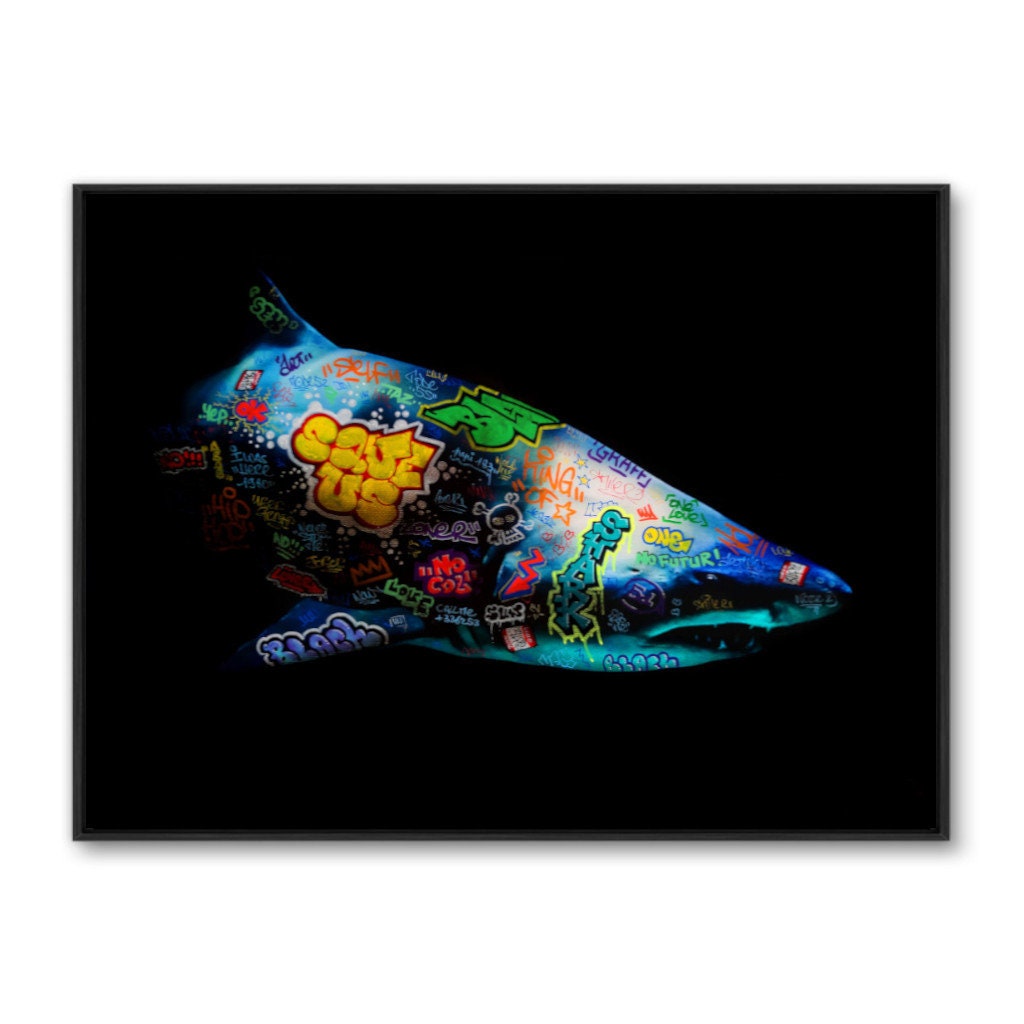 Requin / Limited edition signed and numbered by Blach®