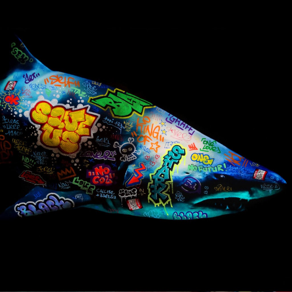 Requin / Limited edition signed and numbered by Blach®