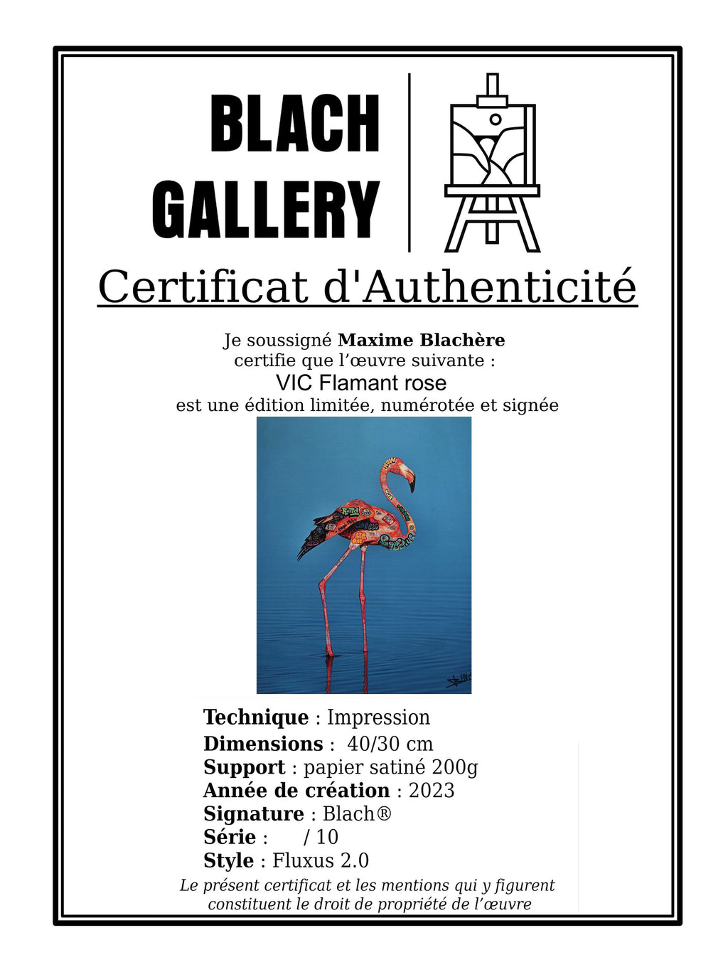 Flamant rose / Limited edition signed and numbered by Blach®