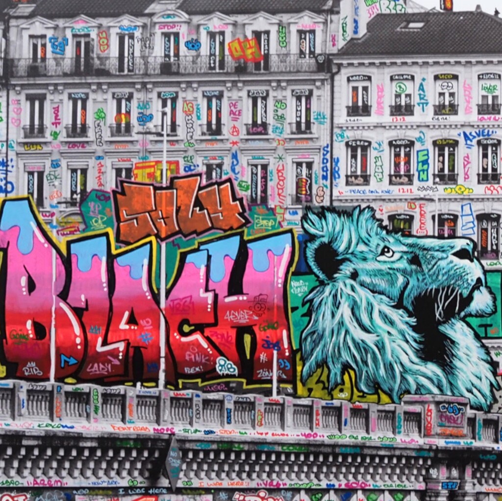 Lyon Noir & Blanc