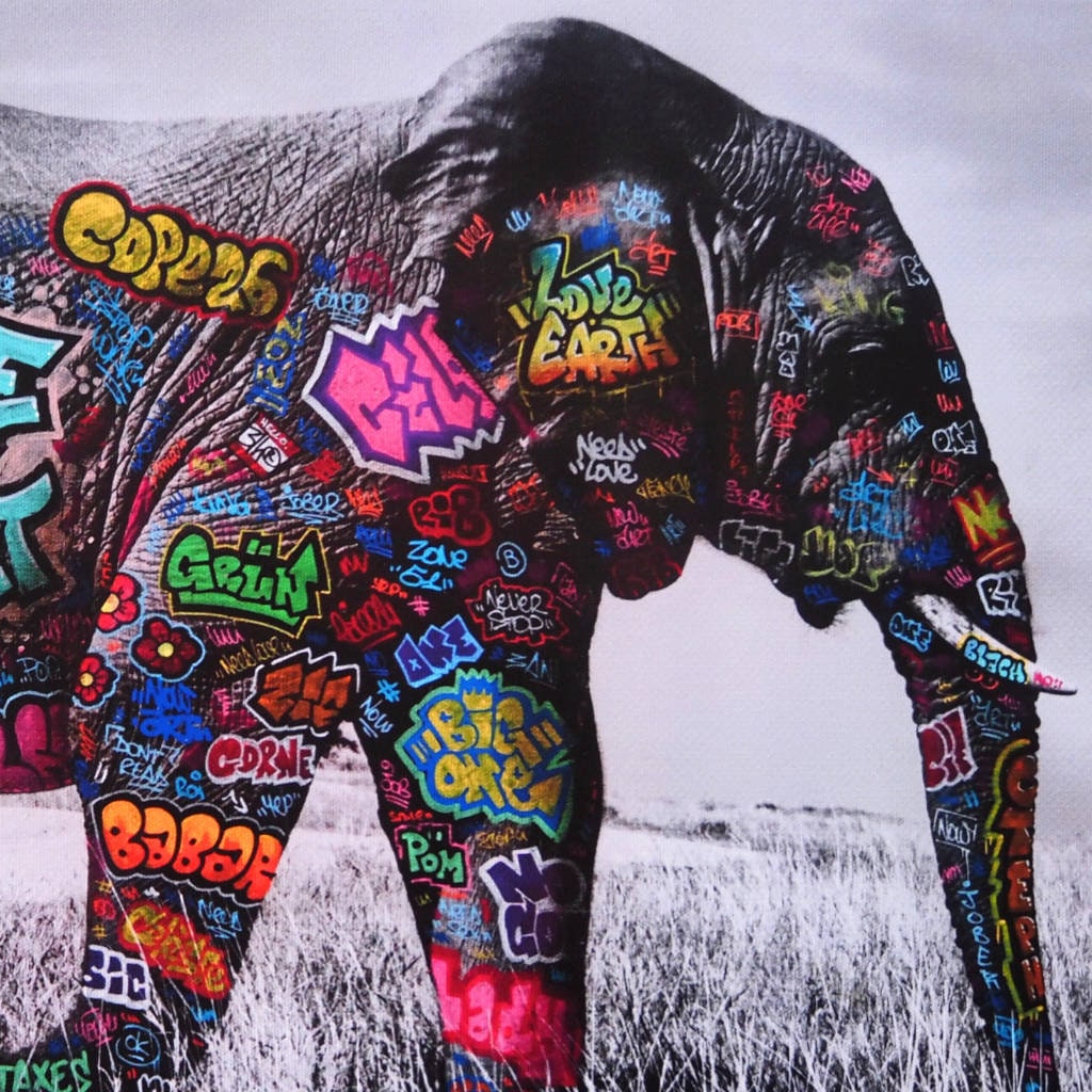 Eléphant / Limited edition signed and numbered by Blach®