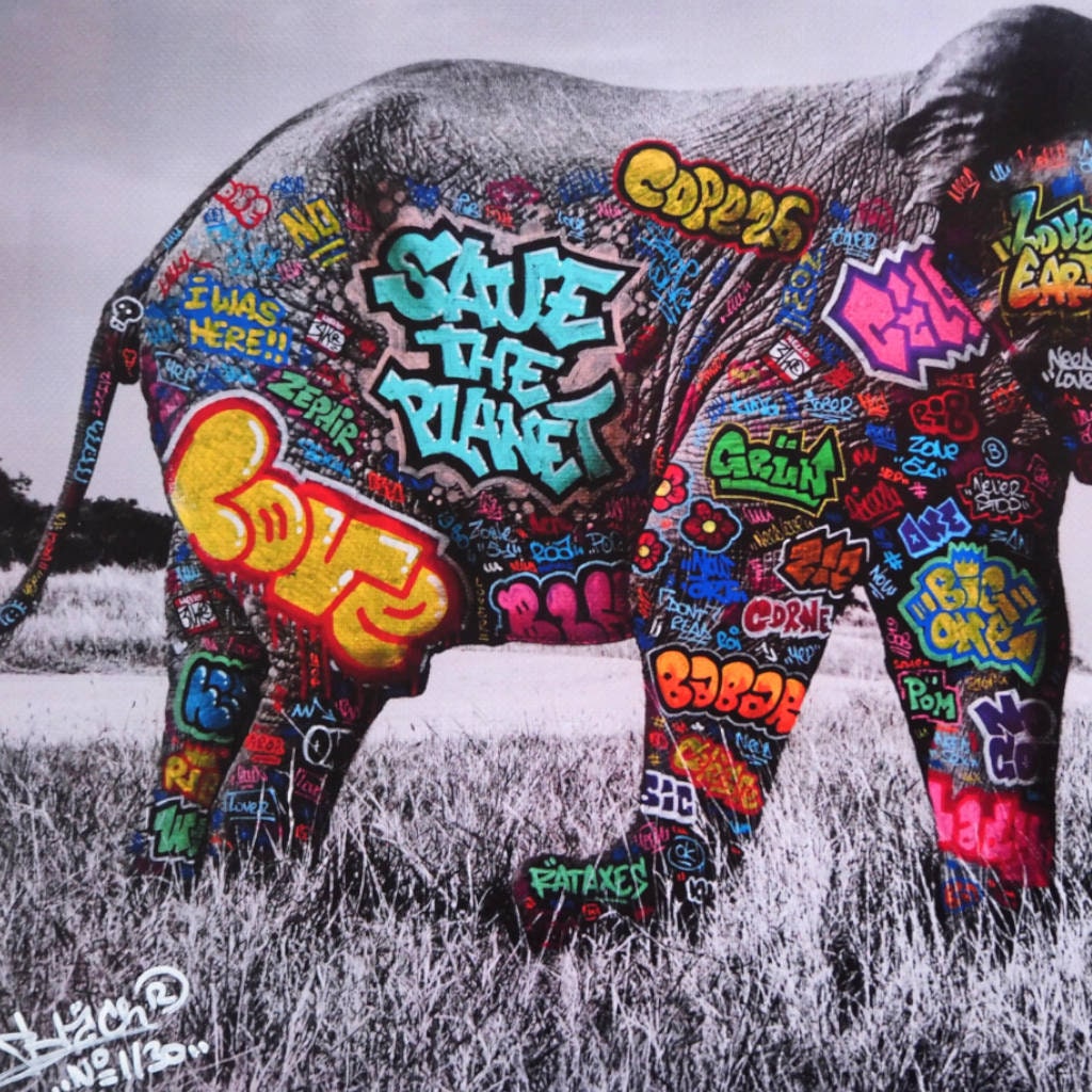 Eléphant / Limited edition signed and numbered by Blach®