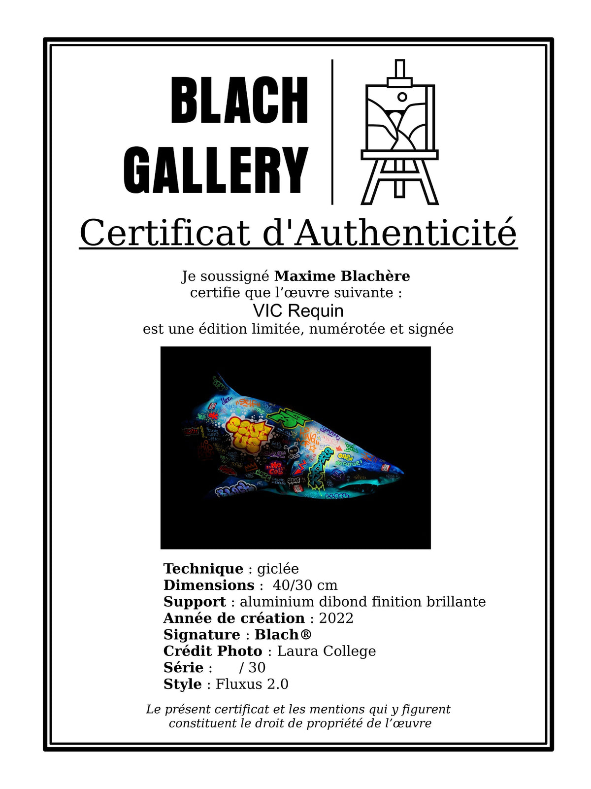 Requin / Limited edition signed and numbered by Blach®