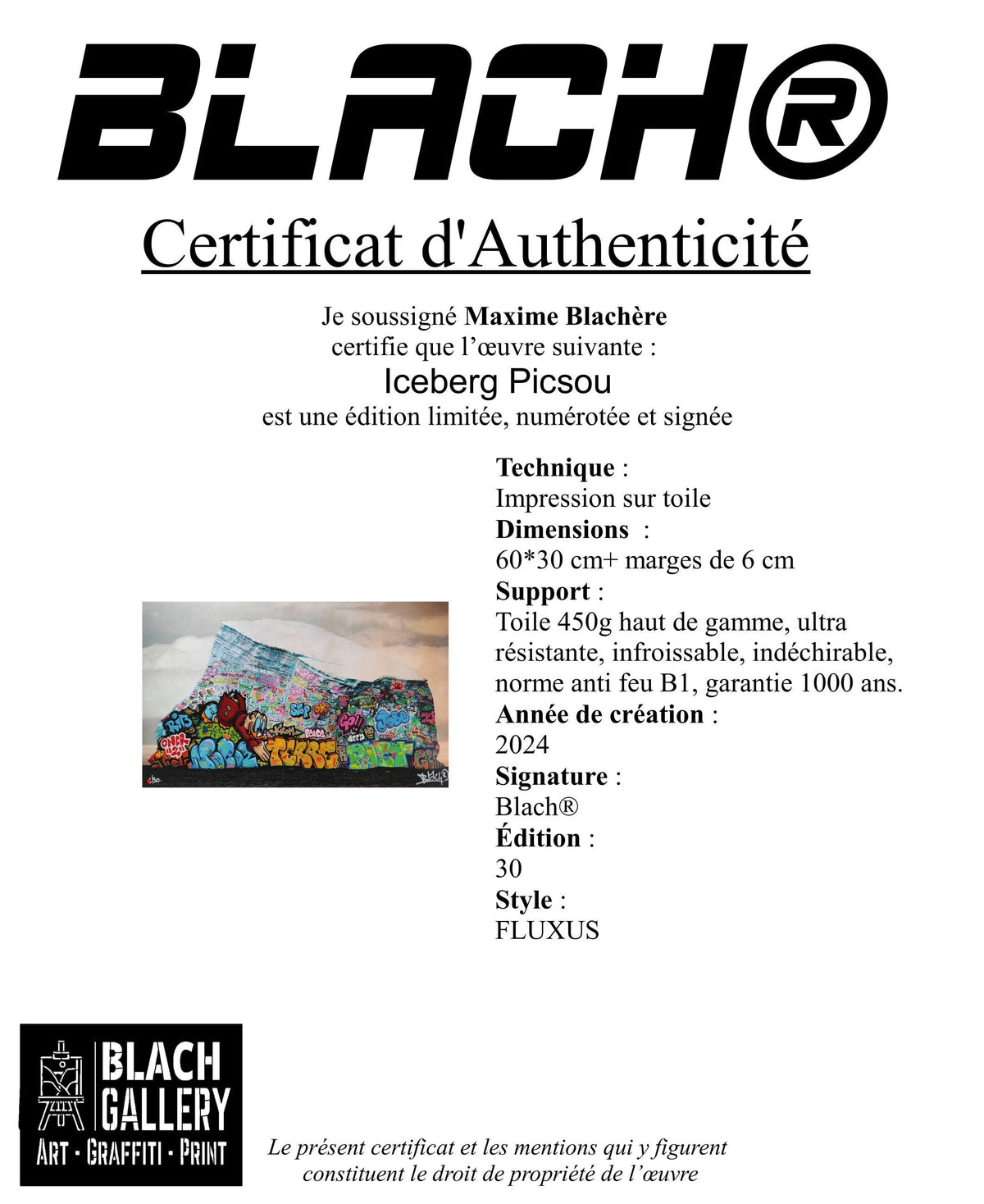 Iceberg Picsou /  Edition limitée signée et numérotée par Blach®