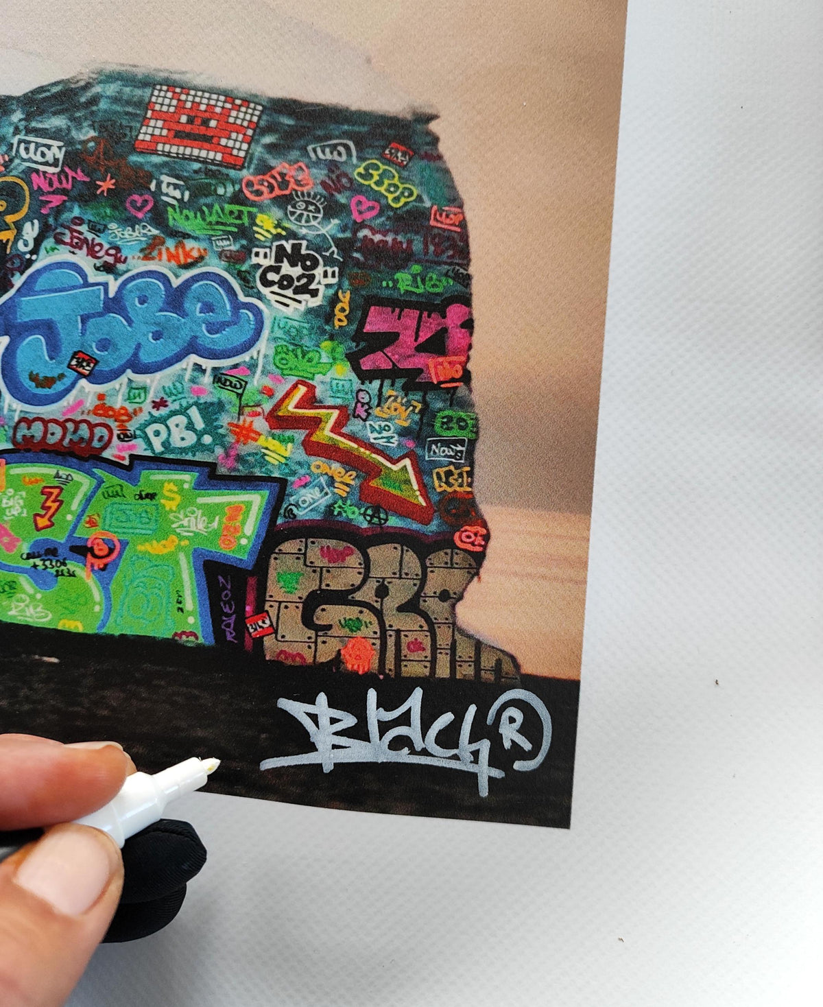 Iceberg Picsou /  Edition limitée signée et numérotée par Blach®