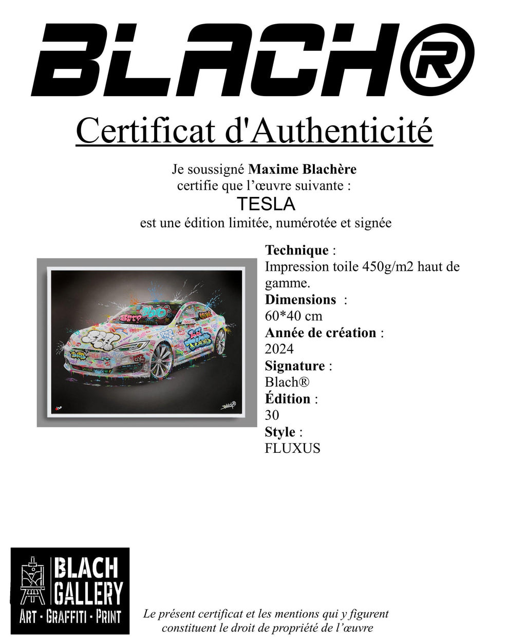 Tesla / Limited edition signed and numeroted by Blach®