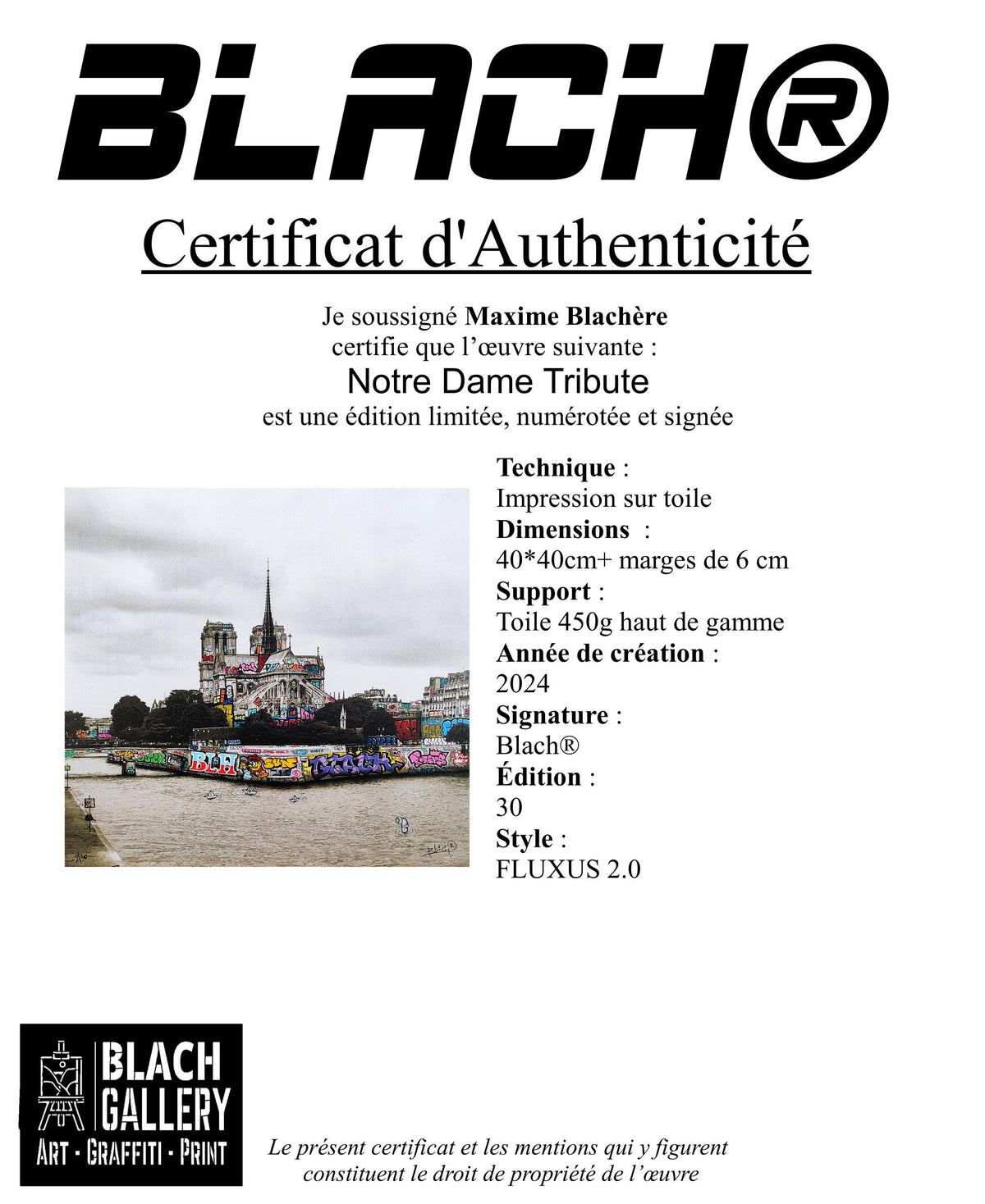 Notre Dame de Paris Tribute  / Limited edition hand signed by Blach®