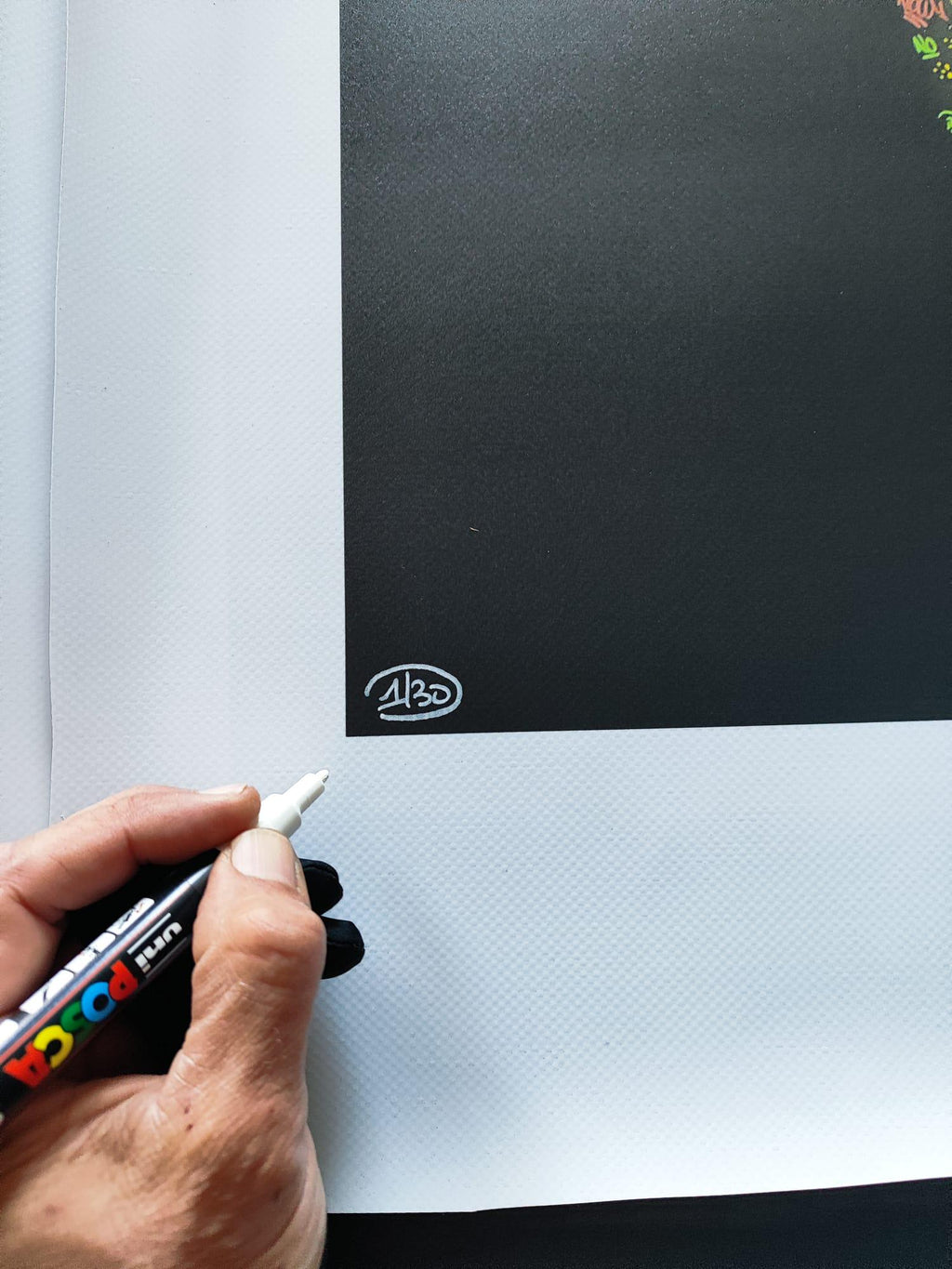 Octopus Reverse / Limited edition signed and numbered by Blach®