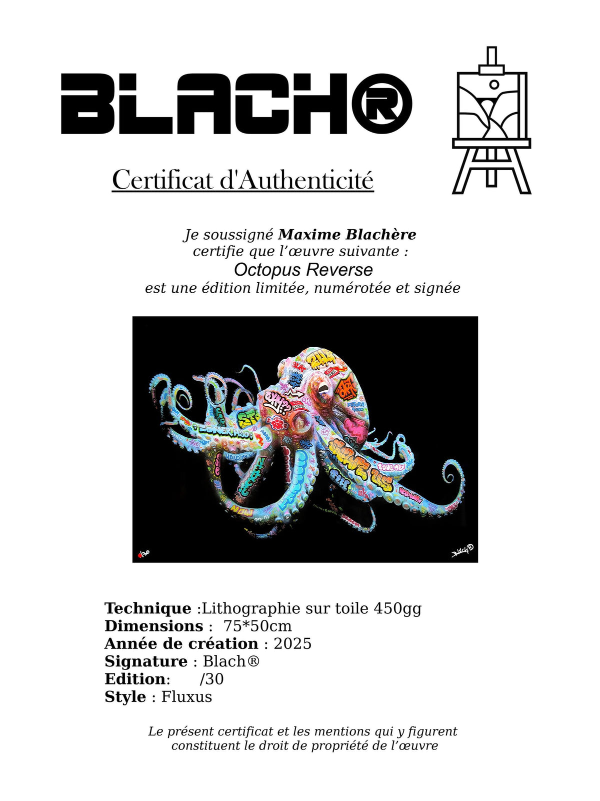 Octopus Reverse / Limited edition signed and numbered by Blach®