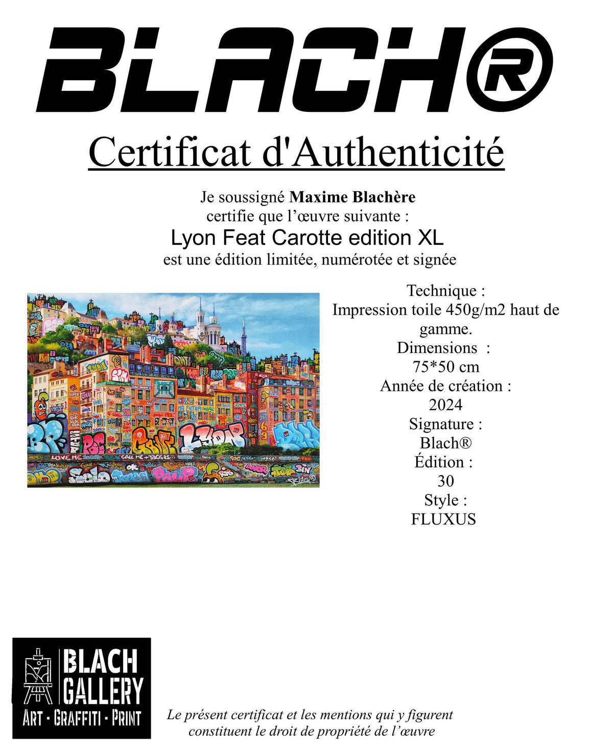 Lyon feat Carotte XL / Limited edition signed and numbered by Blach® and Carotte Officiel !