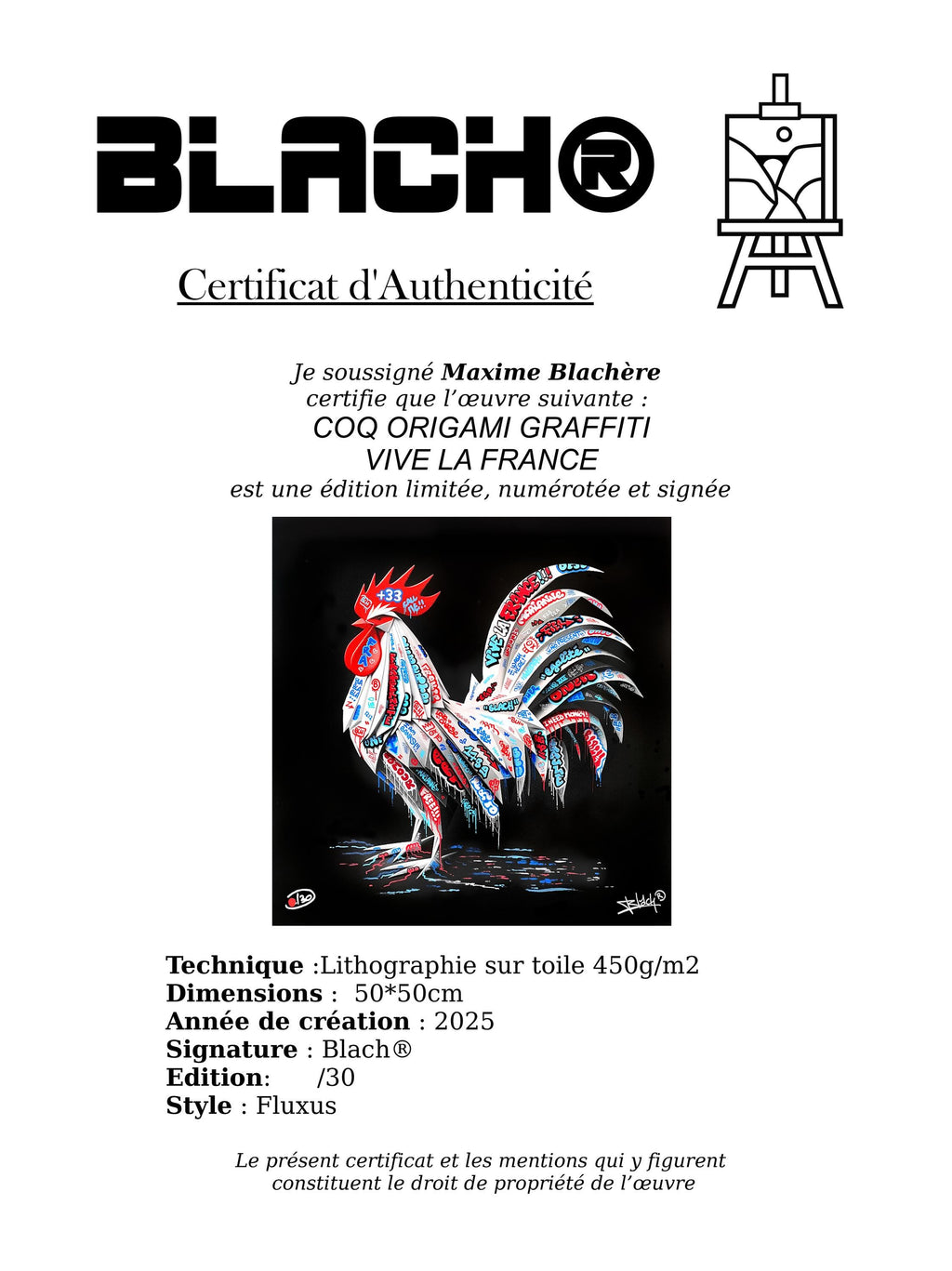 Coq Vive la France Origami Graffiti Art By Blach®