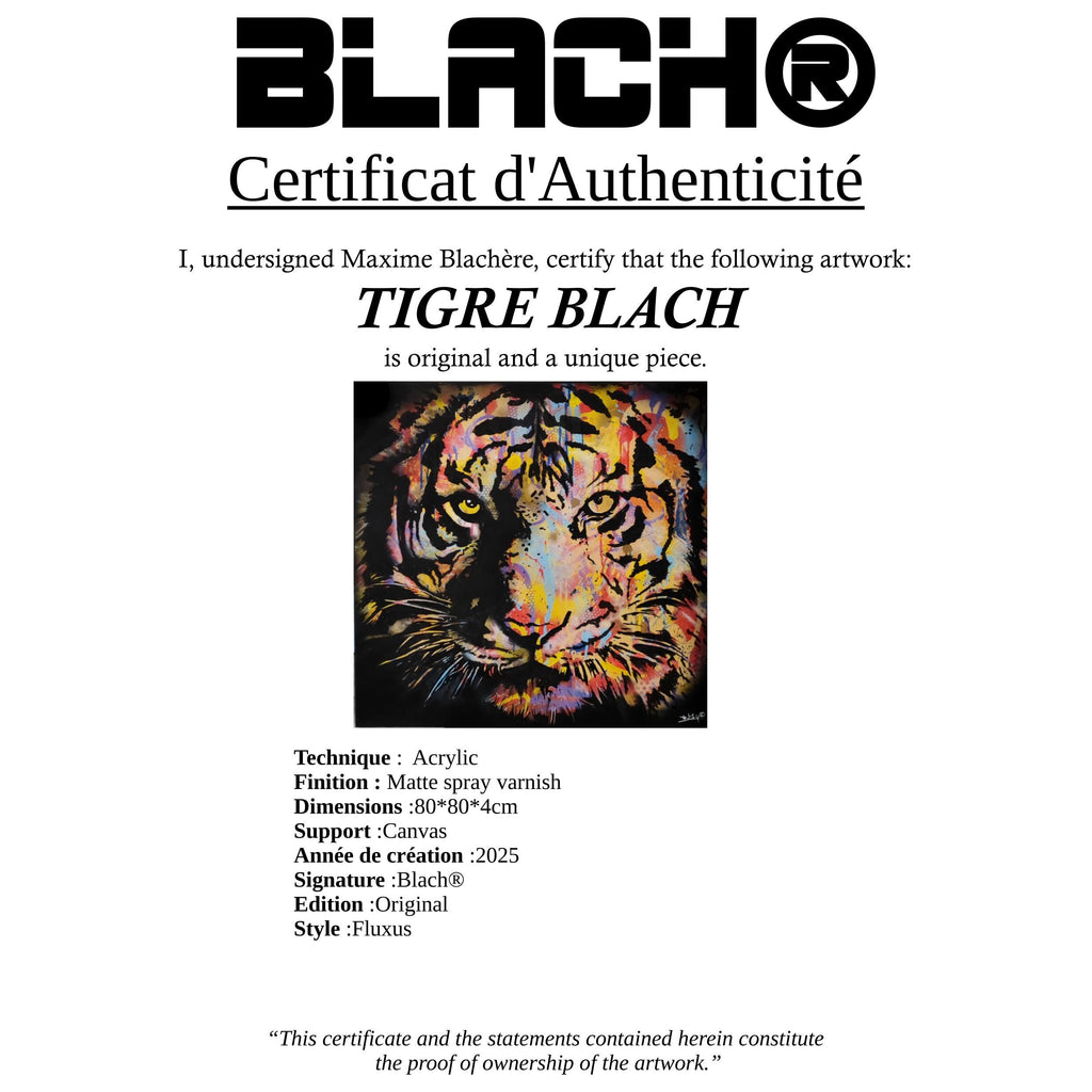 Tigre Blach