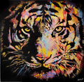 Tigre Blach