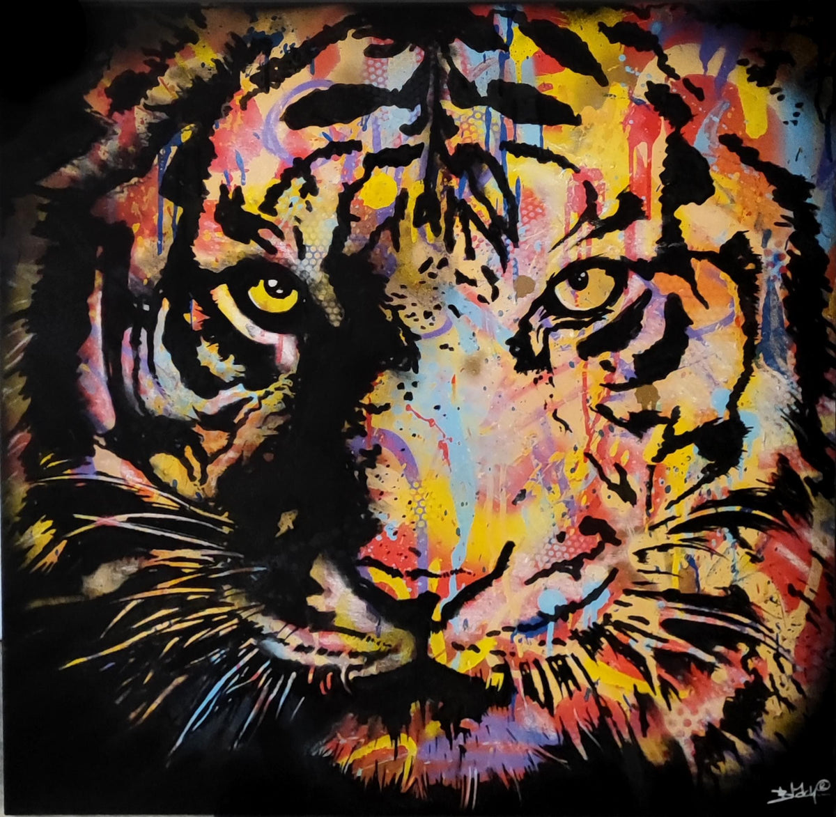Tigre Blach