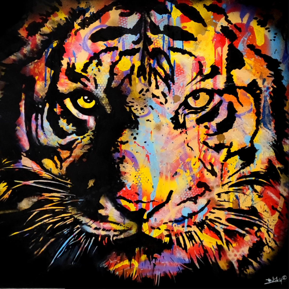 Tigre Blach