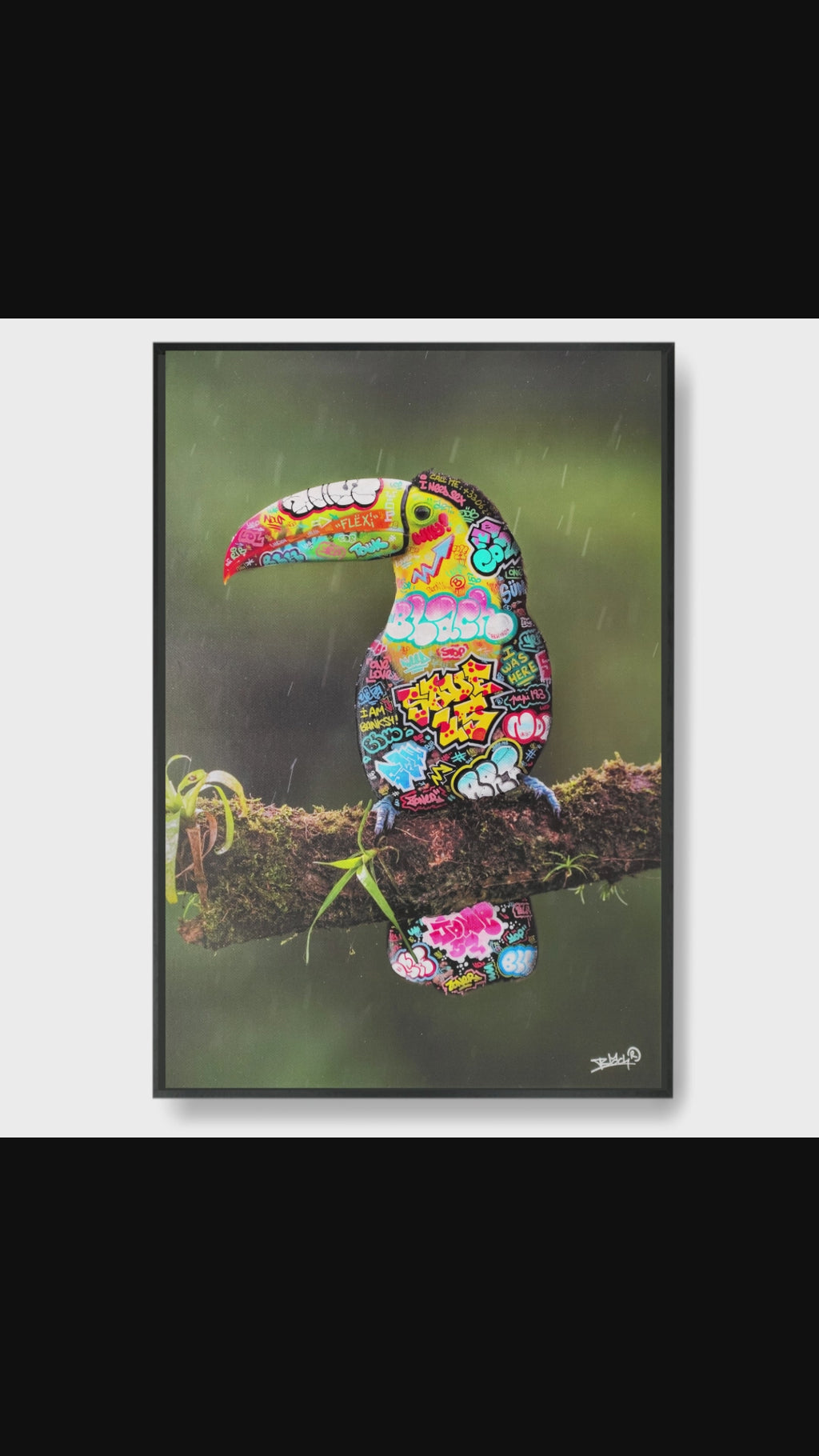 Toucan